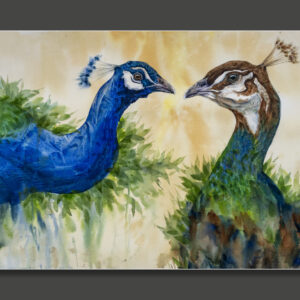 There will be peacocks _ 2