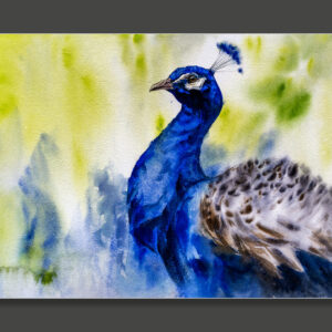 There will be peacocks _ 4