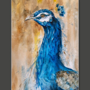 There will be peacocks _ 5