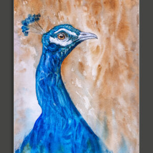 There will be peacocks _ 6